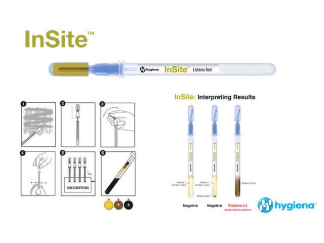 13 Insite 1 700x525 v2