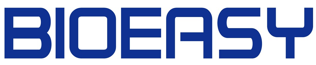 Logo 3 v2