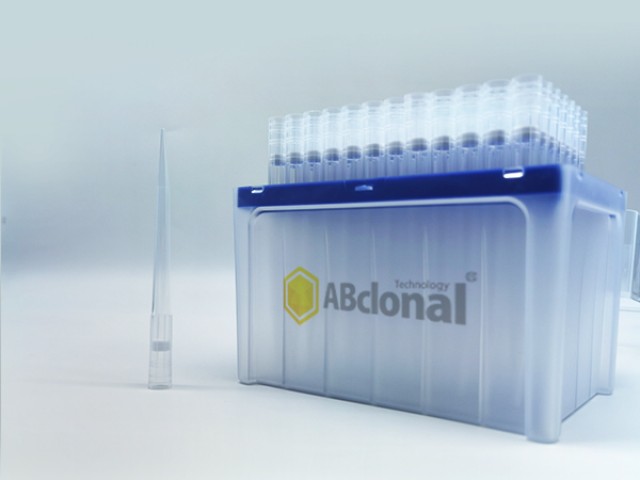 27 sterile Dnas Rnase free long filtered 1000 ul v2